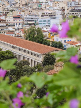 По холмам вокруг Акрополя