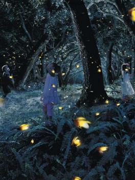 Экскурсия на реку светлячков