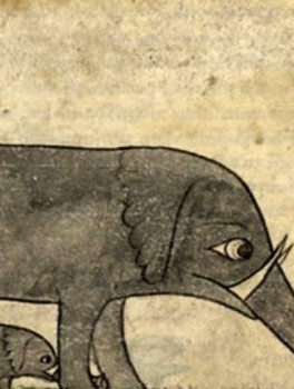 Рим для детей: охота за животными в центре города