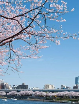 Все прелести Токио за один день