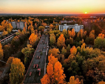Рыжий лес Припять