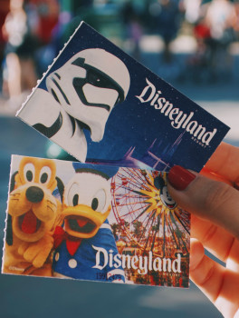 Билеты без очереди в Диснейленд Париж 