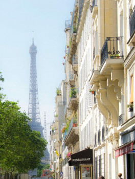 Прогулка по Парижу + билеты на Эйфелеву башню