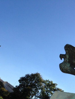 Обзорная экскурсия по Вашингтону 