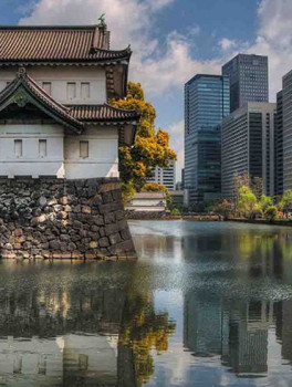 Разнообразный Токио за 5 часов