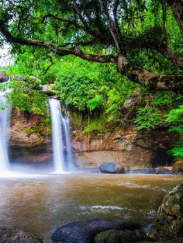 Джунгли зовут