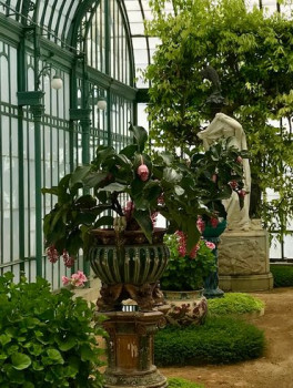 Атмосферный Брюссель