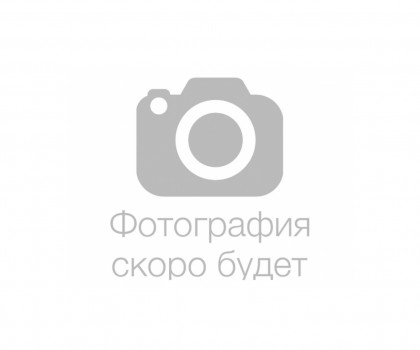 Незабываемые дни в Дели