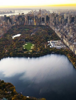 Прогулка по Центральному парку